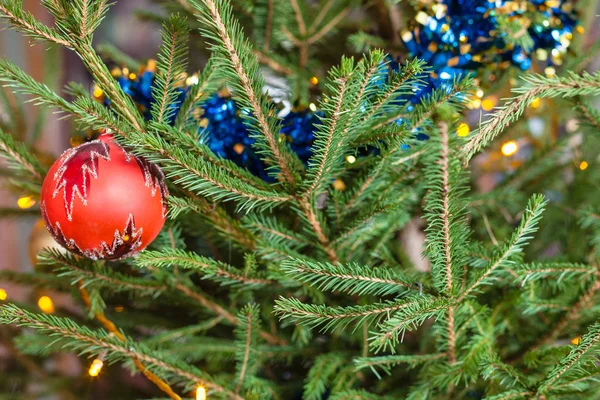 屋内ライブ クリスマス ツリーの緑枝の飾り — ストック写真