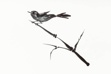 sumi-e (suibokuga) tarzı suluboya boya - reed dal kuş ile çizim eğitim elle kremalı kağıt üzerine çizilmiş olduğunu