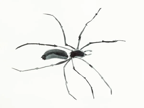 Utbildning Ritning Sumi Suibokuga Stil Med Akvarell Färger Spider Handritad — Stockfoto