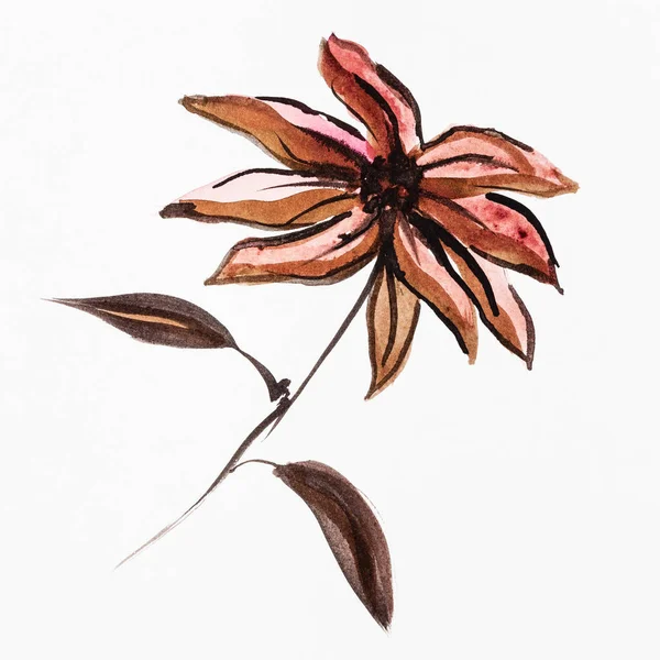 Training Drawing Sumi Suibokuga Style Poinsettia Flower Handpainted Brown Watercolors — Stock Photo, Image