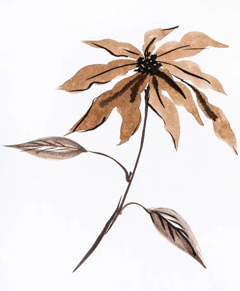 Training Drawing Sumi Suibokuga Style Poinsettia Flower Hand Painted Brown — Stock Photo, Image