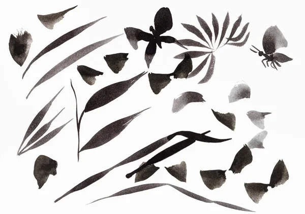 Training Drawing Sumi Suibokuga Style Brush Strokes Shaped Leaves Butterflies — Stock Photo, Image