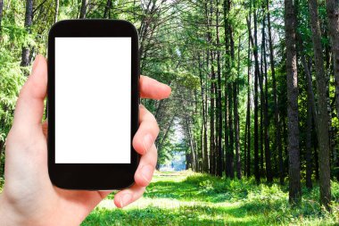 seyahat konsepti - Moskova 'da güneşli bir yaz gününde şehir parkındaki yeşil tarla sokağının turistik fotoğrafları akıllı telefonlu boş ekran ve reklam için boş yer