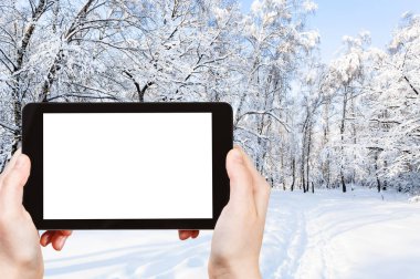 seyahat konsepti - Moskova 'da kışın karla kaplı şehir parkının turistik fotoğrafları. Akıllı telefonlu, boş ekranlı, reklam için boş bir yer.
