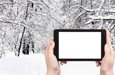 seyahat konsepti - Moskova 'nın karlı şehir parkında kışın karlı yolda çekilmiş turistik fotoğraflar akıllı telefonlu boş ekran ve reklam için boş yer
