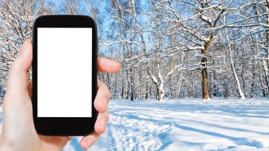 kavram - orman glade kışın şehir parkında Moscow city reklam için boş yer ile boş kesme ekranlı akıllı panoramik fotoğraflarını turizm seyahat