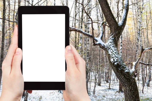 旅行理念 俄罗斯莫斯科秋天寒冷的天气里 树干上覆盖着第一场雪的游客照片 俄罗斯的智能手机上有截断的屏幕 上面有空白的广告位置 — 图库照片