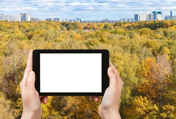 Resor Koncept Turist Fotografier Färgglada Skog Och Stadsdel Soliga Oktober — Stockfoto