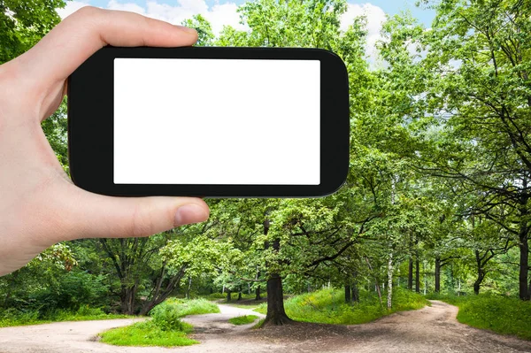 Reisconcept Toeristische Foto Van Grote Eikenboom Stadspark Zonnige Zomerdag Moskou — Stockfoto