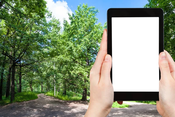 旅游理念 在莫斯科市阳光明媚的夏日 公园林荫中橡树的旅游照片 智能手机上有空白的截图屏幕 广告位置空白 — 图库照片