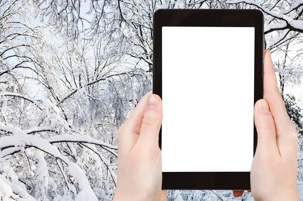 旅游概念 冬季在莫斯科市城市公园雪地分支的旅游照片 用智能手机 带有空白的截图屏幕和空白的广告位置 — 图库照片