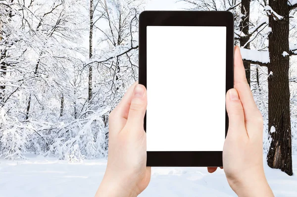 Concepto Viaje Fotografías Turísticas Del Prado Cubierto Nieve Parque Ciudad —  Fotos de Stock