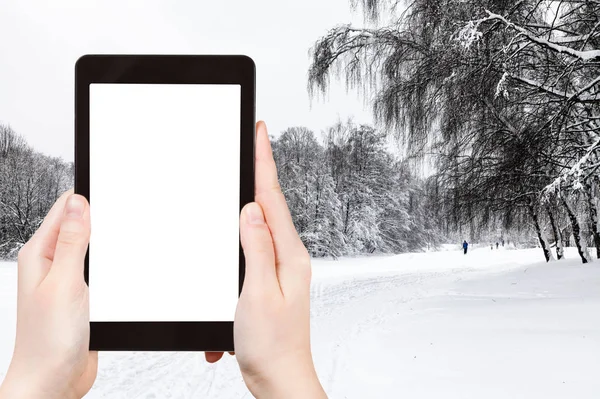 旅游概念 用智能手机拍摄的莫斯科市冬季白雪覆盖的城市公园的旅游照片 带有空白的截图屏幕 可用于广告 — 图库照片