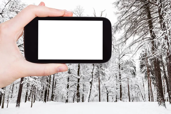 Concepto Viaje Fotografías Turísticas Del Prado Cubierto Nieve Parque Ciudad —  Fotos de Stock