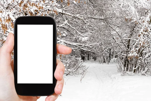 Resor Koncept Turist Fotografier Skidspår Snöig Stadspark Vintern Moskva Stad — Stockfoto