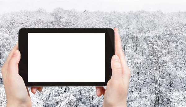 Concepto Viaje Fotografías Turísticas Vista Panorámica Los Árboles Cubiertos Nieve —  Fotos de Stock