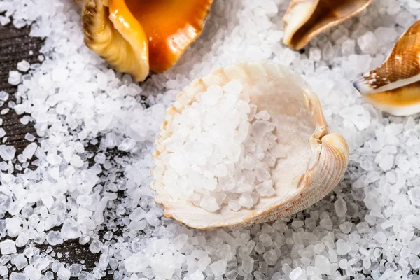 Seashell med grova finkornigt havssalt på bord — Stockfoto