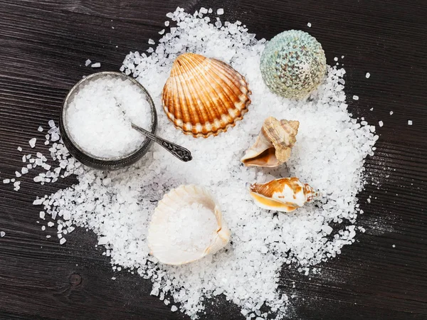 salt cellar, shells and coarse Sea Salt on table