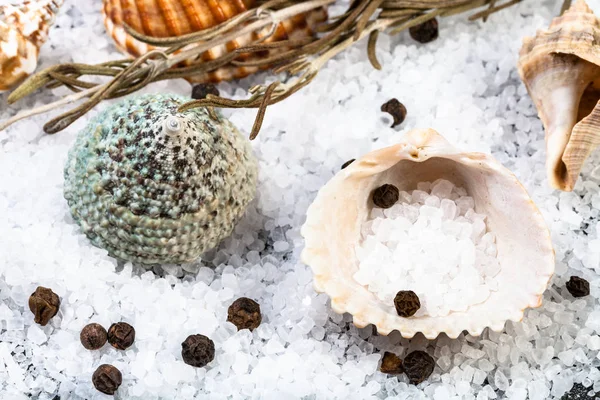 Shells, coarse grained Sea Salt and peppercorns — Stock Photo, Image