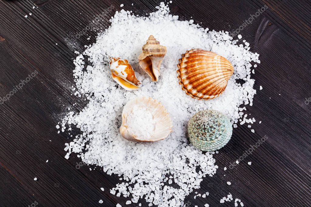coarse grained Sea Salt and seashells on table