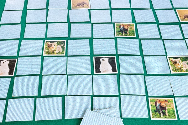 Jogo de cartas gameboard of Concentration (Memória) — Fotografia de Stock