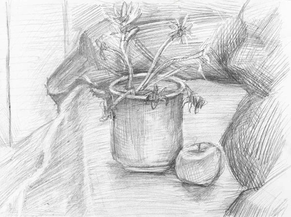 Ainda-vida com maçã e flores secas em balde — Fotografia de Stock