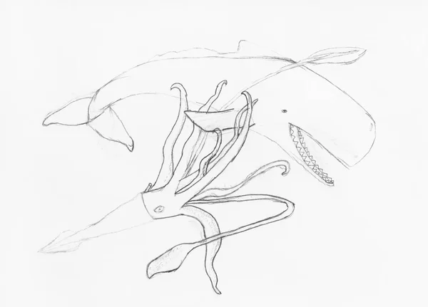 Battaglia di polpo e cachalot disegnati a matita — Foto Stock