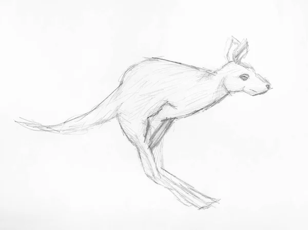 Boceto de salto canguro mano dibujado a lápiz — Foto de Stock