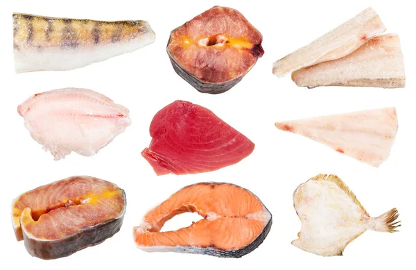 Collage de varios peces congelados crudos aislados — Foto de Stock