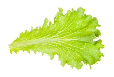 beyaz izole yaprak marul taze yeşil yaprak