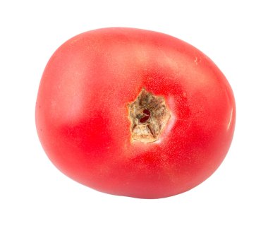 beyaz izole doğal pembe domates