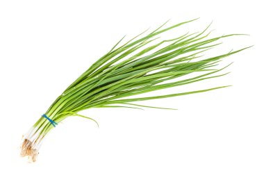 bunch of scallions (green onions) isolated clipart