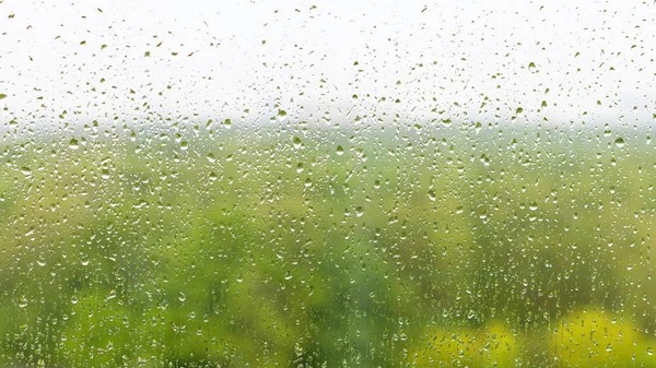 Regentropfen auf Fensterscheiben und verschwommener Wald — Stockfoto