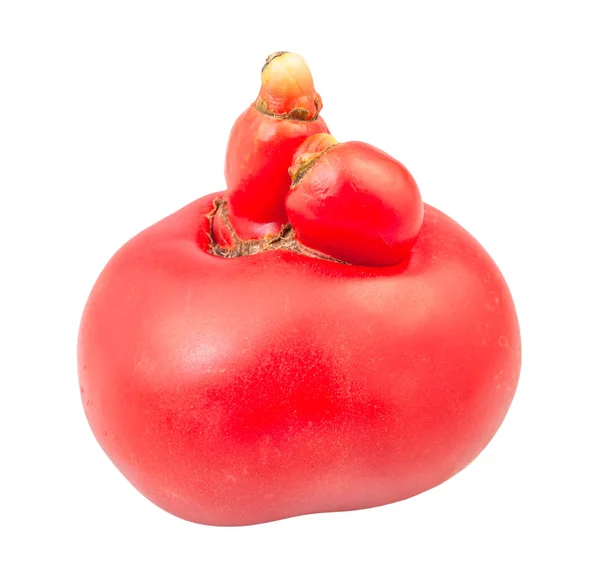 Tomate rose fraîche avec des croissances isolées sur blanc — Photo