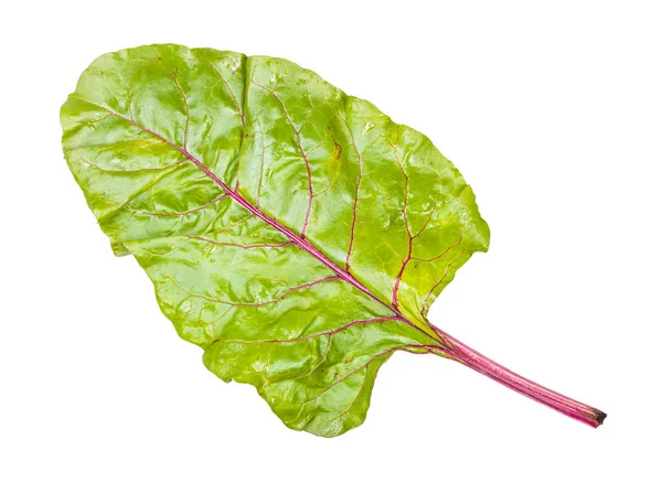 Wet beet top isolated on white — Stock Photo, Image