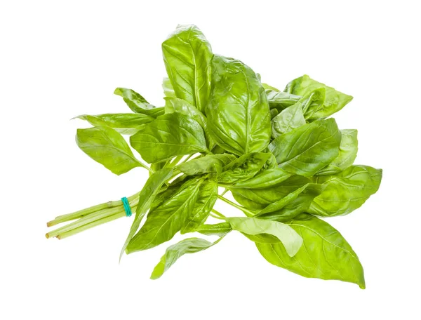 Nedves csomó friss zöld Basil Herb izolált — Stock Fotó