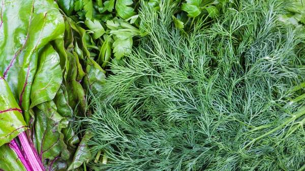 Fundo de comida panorâmica - vegetação natural molhada — Fotografia de Stock