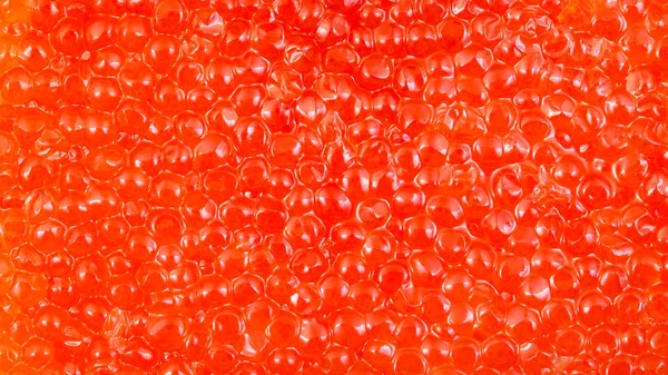 Панорамный вид на поверхность соленой красной икры — стоковое фото