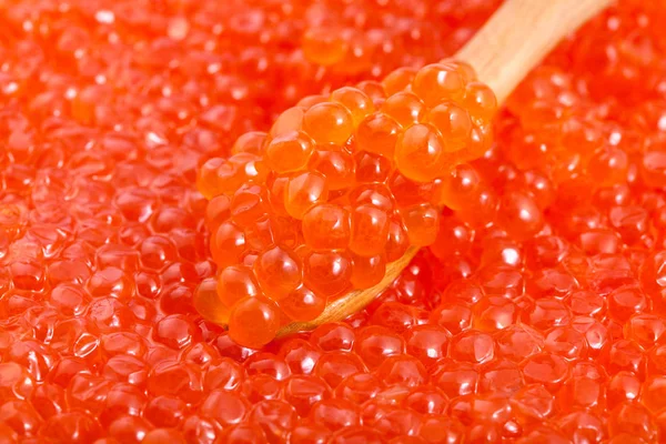 Little wooden spoon in salted red caviar close-up — Stock Photo, Image