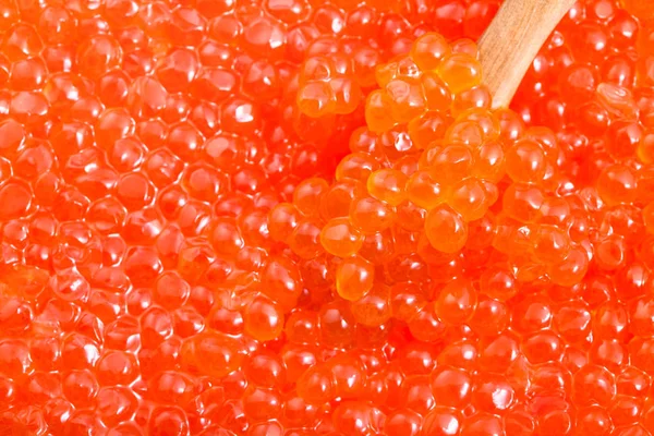 Little wooden spoon in salted russian red caviar — Stock Photo, Image