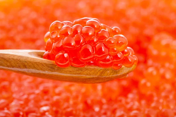 Little spoon with red caviar over blurred roe — Stock Photo, Image