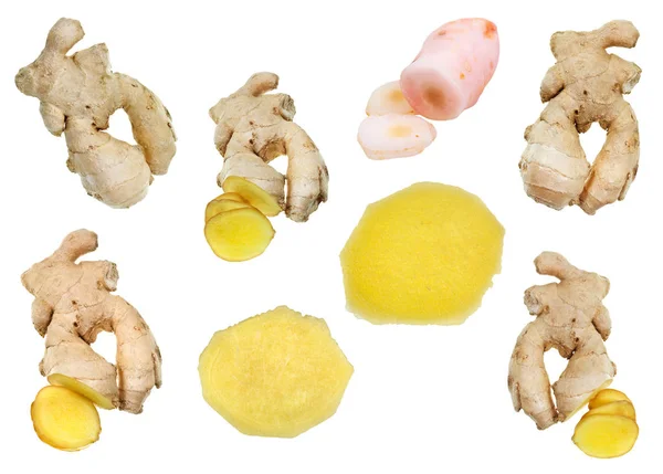 Collage from fresh ginger and pickled galangal — Stock Photo, Image