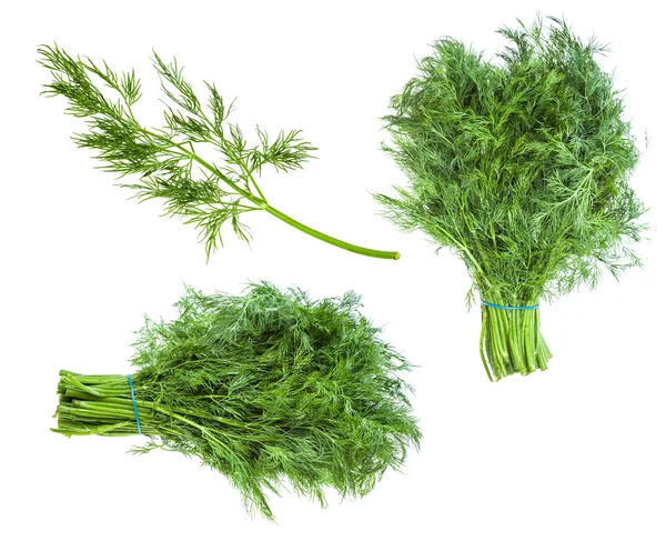 Набор из свежей зеленой травы укропа изолированы на белом — стоковое фото