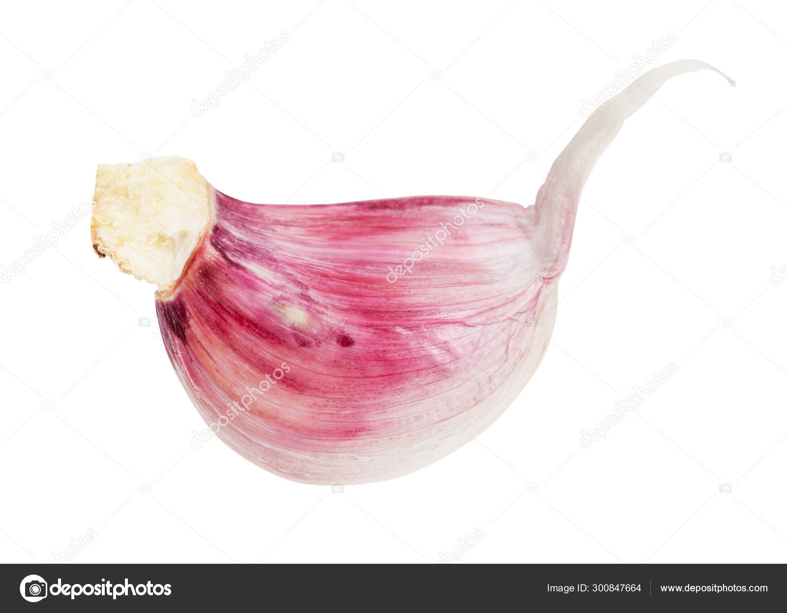 Diente sin pelar de ajo fresco aislado sobre blanco fotografía de