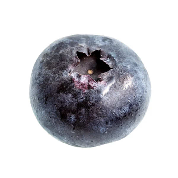 Taze yabanmersini üzerinde beyaz izole