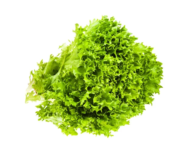 Fresh green foliage of Ice leaf lettuce isolated — Stock Photo, Image