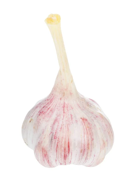 Bulb of young fresh garlic isolated on white — Stock Photo, Image