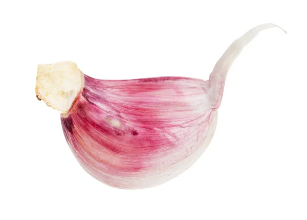 Μη αποφλοιωμένη σκελίδα φρέσκου σκόρδου που απομονώνεται σε λευκό — Φωτογραφία Αρχείου
