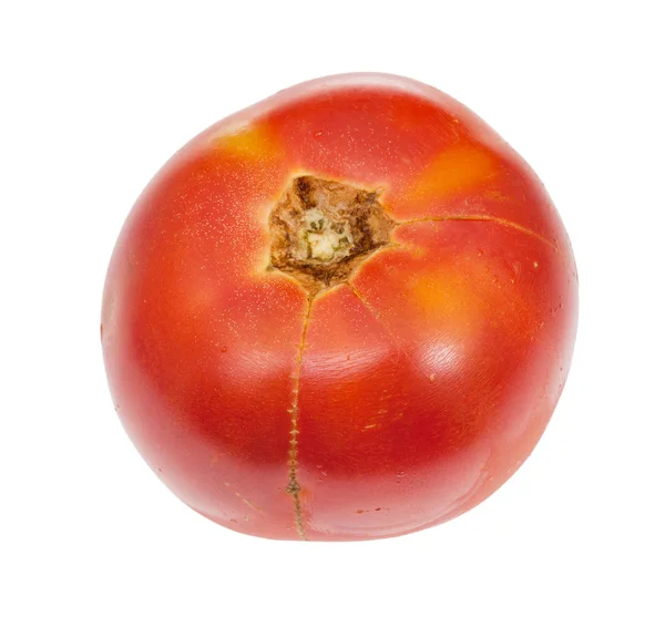 पांढरा वर वेगळे परिपक्व सेंद्रीय लाल टोमॅटो — स्टॉक फोटो, इमेज