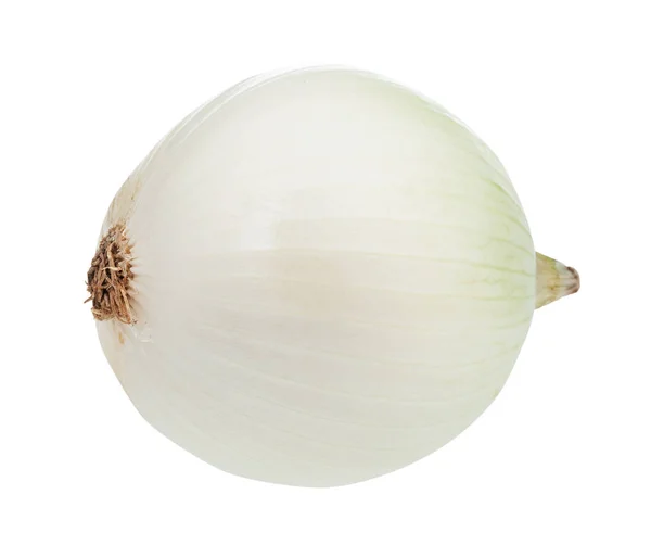 Bulbo de cebolla blanca madura aislado en blanco — Foto de Stock